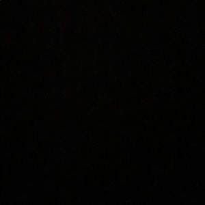 Meet your Posher, Kitty